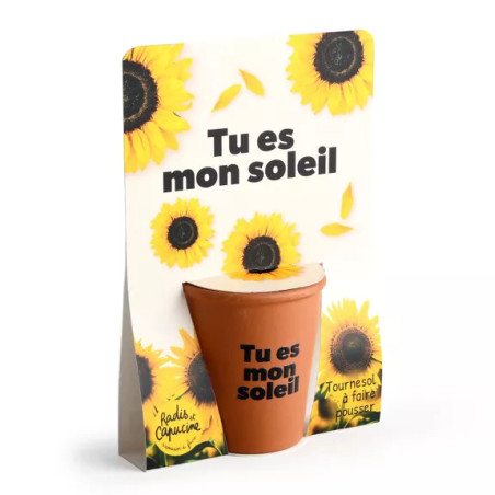 Kit jardinage message drôle "Tu es mon soleil" Tournesol - Radis et Capucine