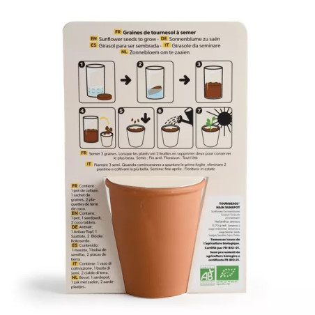 Kit jardinage message drôle "Tu es mon soleil" Tournesol - Radis et Capucine