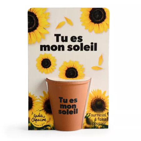 Kit jardinage message drôle "Tu es mon soleil" Tournesol - Radis et Capucine
