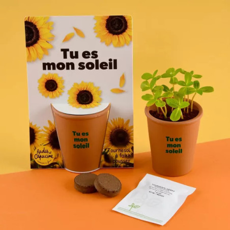 Kit jardinage message drôle "Tu es mon soleil" Tournesol - Radis et Capucine