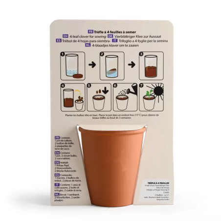 Kit jardinage "Bonne chance" trèfle 4 feuilles - Radis et Capucine