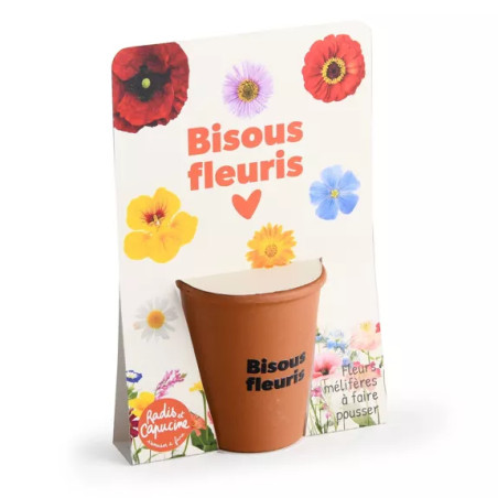 Kit jardinage "Bisous fleuris" - Radis et Capucine