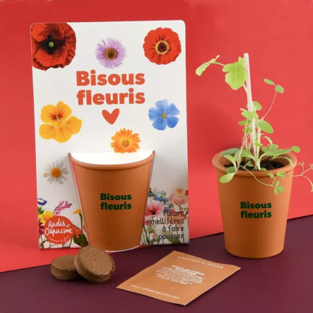Kit jardinage "Bisous fleuris" - Radis et Capucine