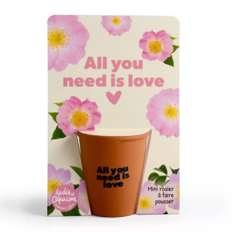 Kit jardinage "All you need is love" Rosier - Radis et Capucine