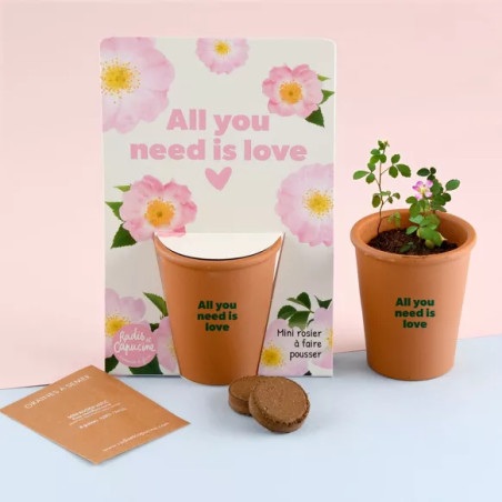 Kit jardinage "All you need is love" Rosier - Radis et Capucine