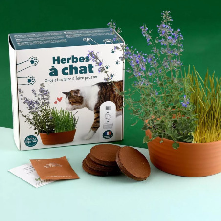 Coffret Herbe à Chat - Radis et Capucine