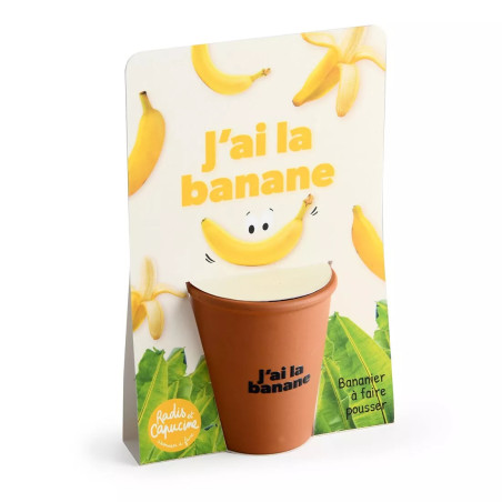 Kit jardinage message drôle "J'ai la banane" bananier - Radis et Capucine