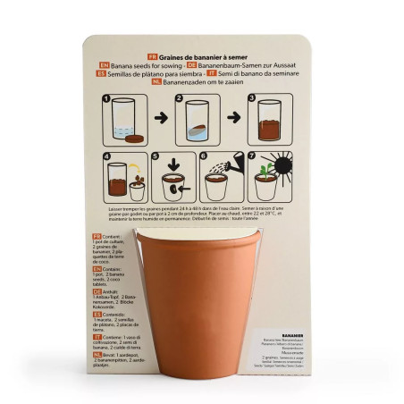 Kit jardinage message drôle "J'ai la banane" bananier - Radis et Capucine