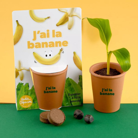 Kit jardinage message drôle "J'ai la banane" bananier - Radis et Capucine