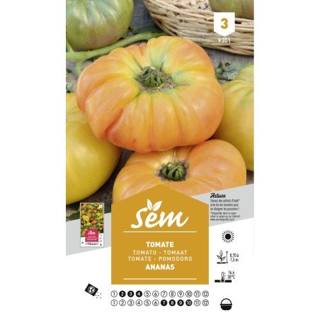 Graines Tomate Ananas