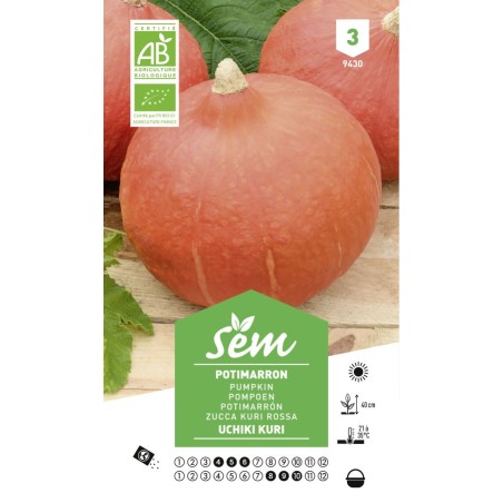 Graines Potimarron Uchiki Kuri Bio