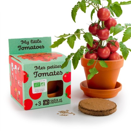 Mini Kit Tomates Cerises Bio - Radis et Capucine