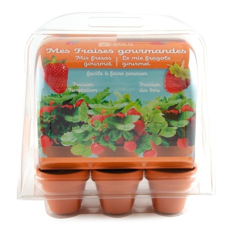 Mini Serre Plastique Graines de Fraisiers - Radis et Capucine