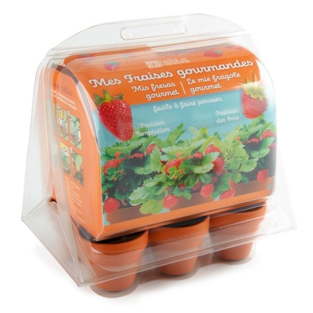 Mini Serre Plastique Graines de Fraisiers - Radis et Capucine