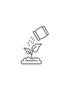 Terreau bio et soins pour plantes | Le Balcon Vert