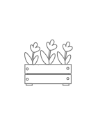 Jardinière